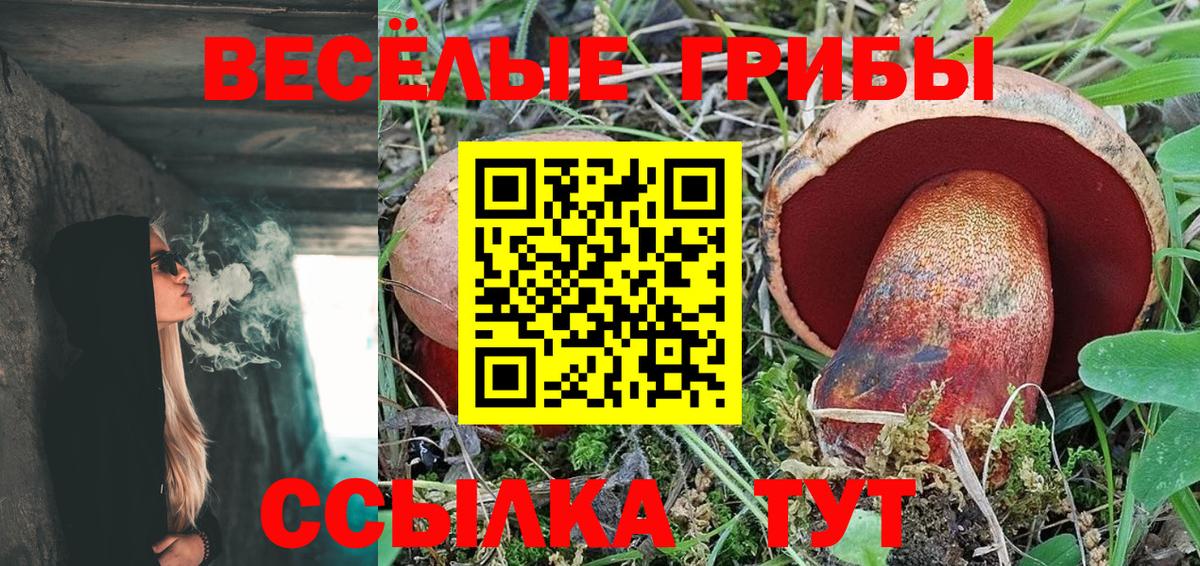 Фрязино  Галлюциногенные грибы Cubensis  Вход с VPN  Галлюциногенные грибы ЛСД 
